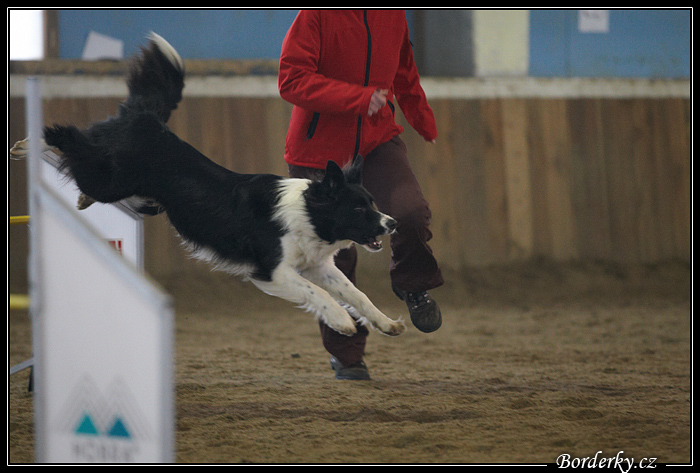 Agi_Hlucin_095