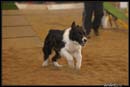 Agi_Hlucin_146