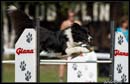 AgiZlin_1_044