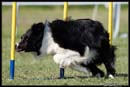 AgiZlin_1_046