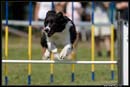 AgiZlin_1_128