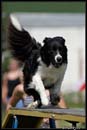 AgiZlin_1_131