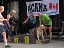 IMG_2693