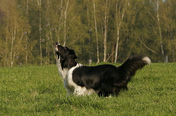 Benesov0639_RJ