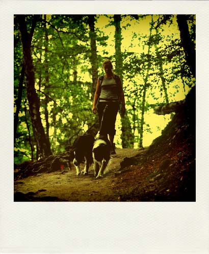 DSC_2312_20110222111047_Pola
