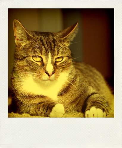 DSC_2453_20110222131252_Pola