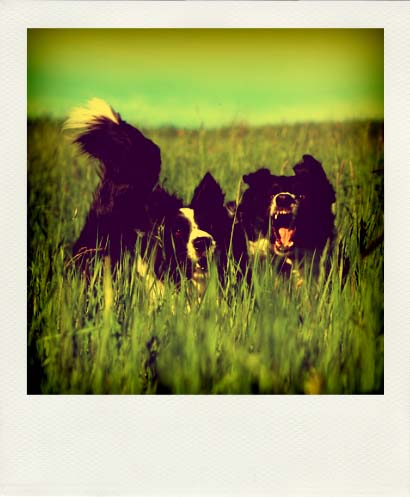 DSC_6432_20110222115212_Pola