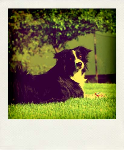 DSC_6893_20110222114835_Pola