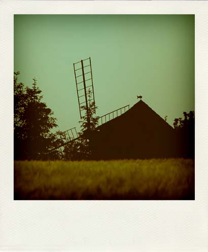 DSC_7349_20110222115026_Pola