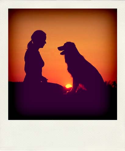 DSC_8815_20110222111037_Pola