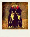 DSC_0335_20110222120346_Pola
