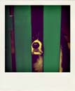 DSC_0655_20110222133349_Pola