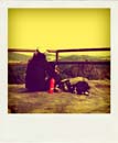 DSC_1981_20110222132844_Pola