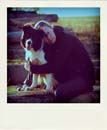 DSC_2250_20110222111539_Pola