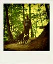 DSC_2312_20110222111047_Pola