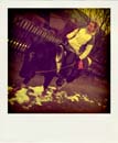 DSC_3558_20110222134055_Pola