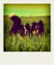 DSC_6432_20110222115212_Pola