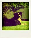 DSC_6893_20110222114835_Pola