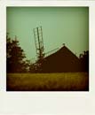 DSC_7349_20110222115026_Pola