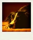 uvod55a_20110222114438_Pola