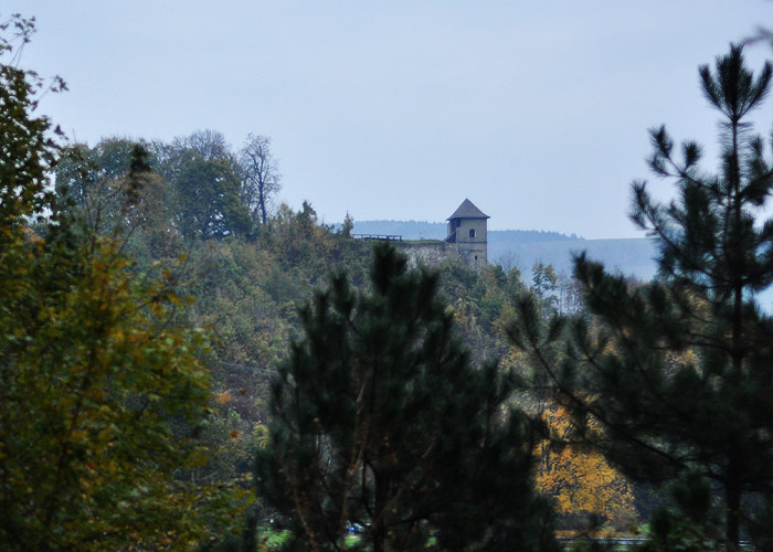 DSC_2193