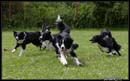 AgiZlin_2_005