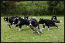 AgiZlin_2_006