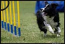 AgiZlin_2_027