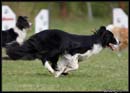AgiZlin_2_096