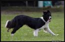 AgiZlin_2_112