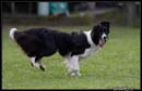 AgiZlin_2_113