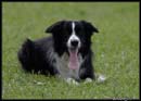 AgiZlin_2_121