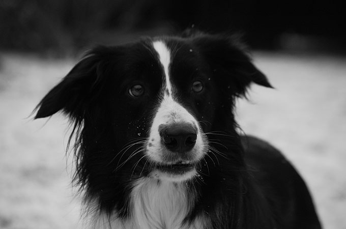 DSC_3606