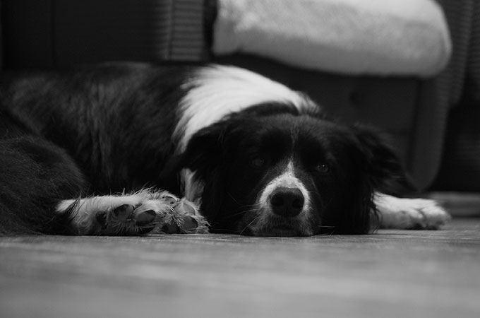 DSC_3646