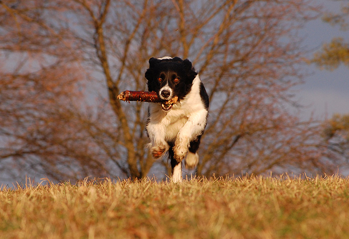 DSC_3801