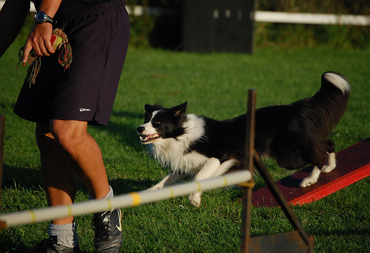 DSC_0555
