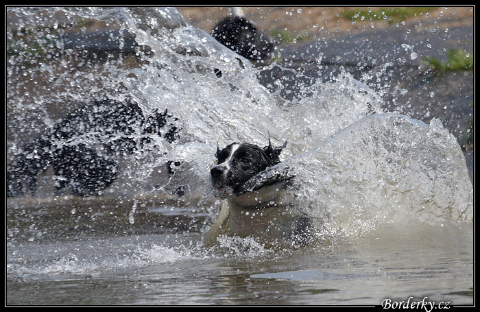 Borderky_08_2_075