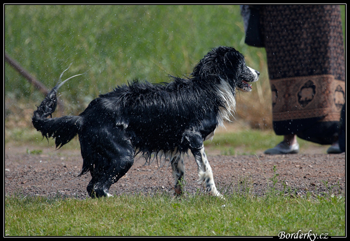 Borderky_08_2_078