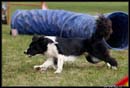 Borderky_08_2_021