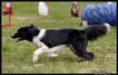 Borderky_08_2_022