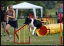 Borderky_08_2_029