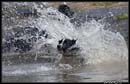 Borderky_08_2_075