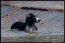 Borderky_08_2_076
