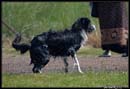 Borderky_08_2_078