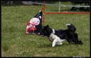 Borderky_08_2_109