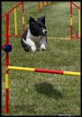 Borderky_08_2_111
