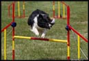 Borderky_08_2_113