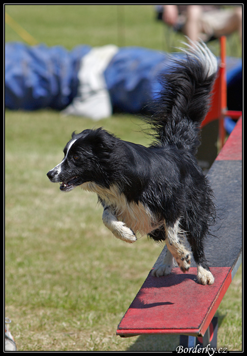 BCCCZ09_2_2_008