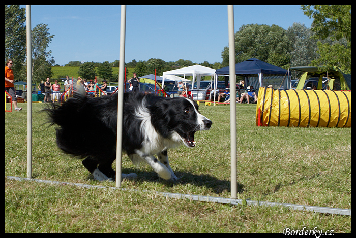 BCCCZ09_2_2_066