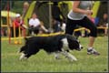 4Mistrovstvi_CR_border_coll